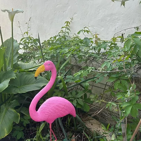 Hvar Vacation 公寓