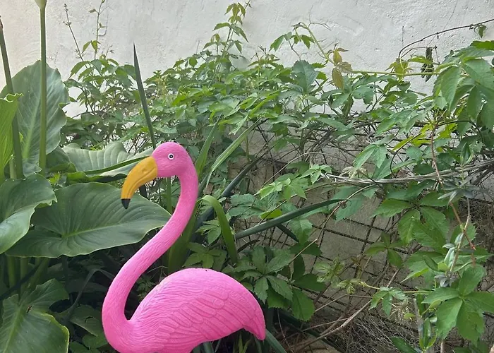 Hvar Vacation Appartamento